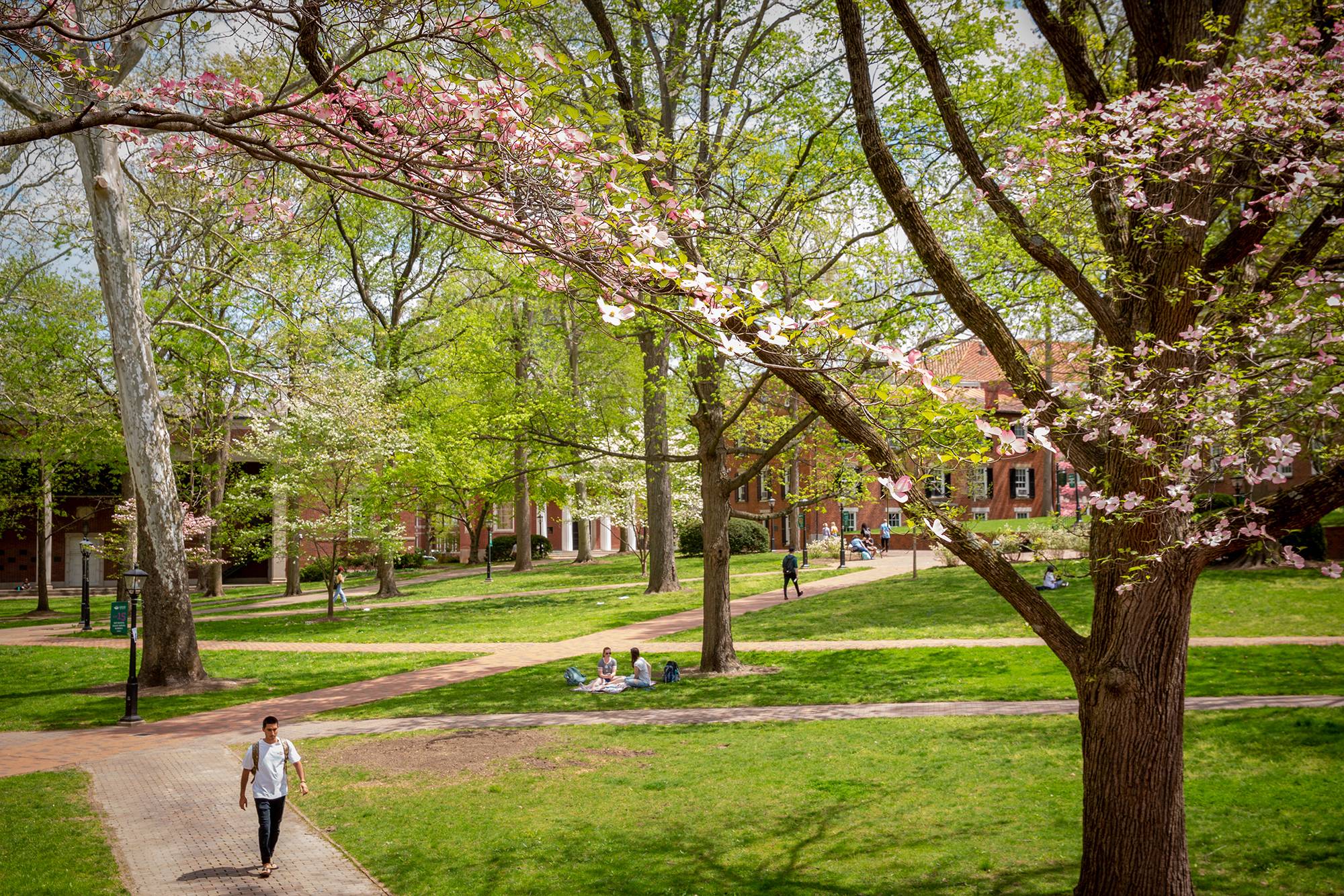 Ohio University ranked first in the state for Best College Campus by